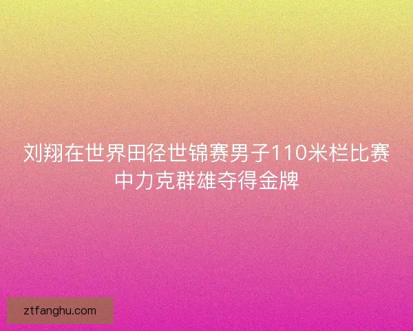 刘翔在世界田径世锦赛男子110米栏比赛中力克群雄夺得金牌